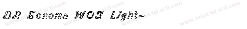 BR Sonoma W03 Light字体转换